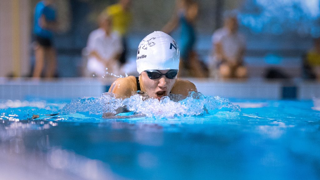 54153505683_86269c43aa_o copie